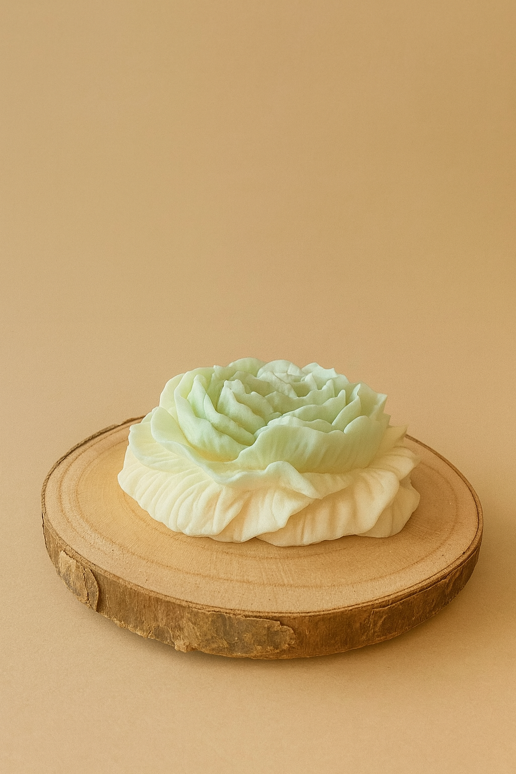 🪵Peonia em Cera com Base em Madeira