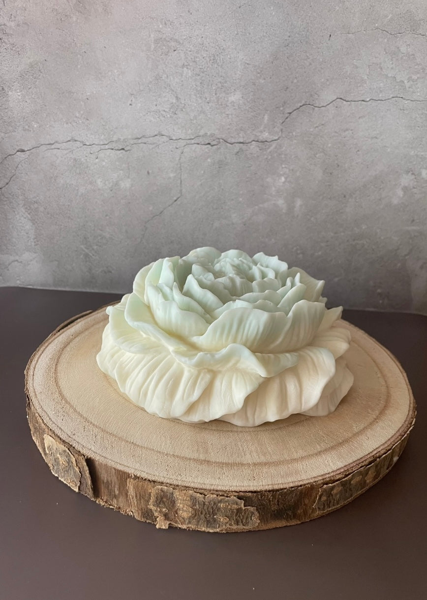 🪵Peonia em Cera com Base em Madeira