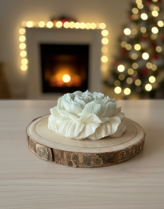 🪵Peonia em Cera com Base em Madeira